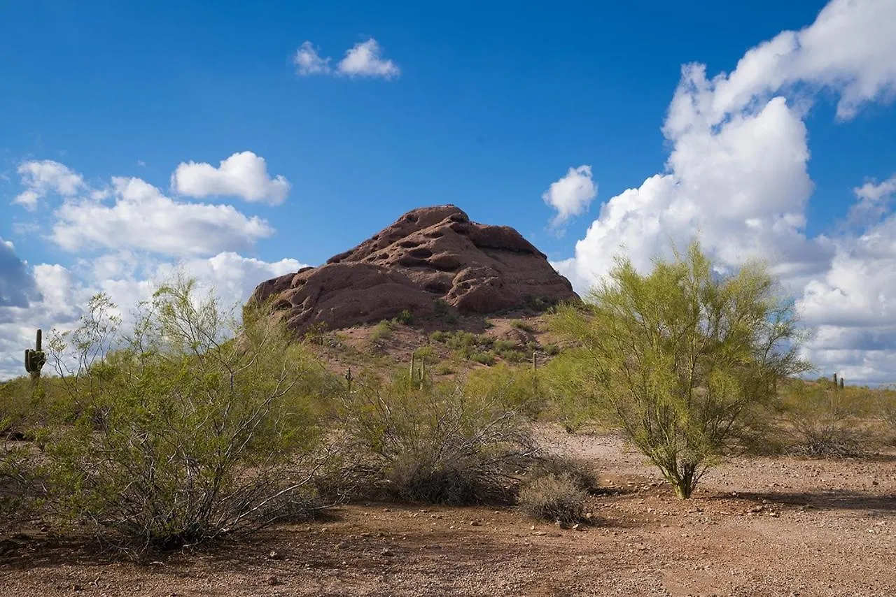 238- Fully Furnished, Wifi Included Apartment Scottsdale